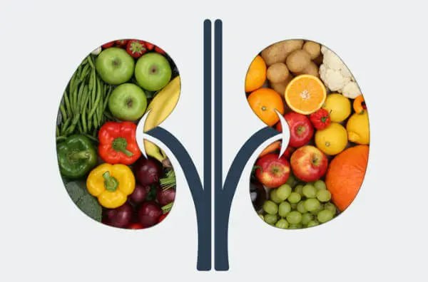 Τop-10 προϊόντων για υγιή νεφρά